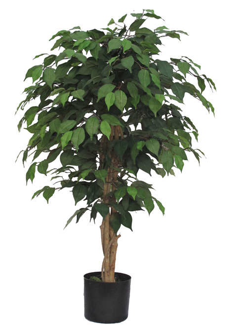 Искусственное растение Фикус бенджамина FG02
