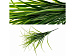 Искусственная ветка травы Осока 50 см BN10761