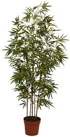 Искусственное дерево Бамбук FG08