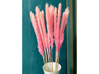 Ветка декоративная сухоцвет нежно-розовый FG-0433-3