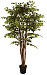 Искусственное дерево Фикус бенджамина FG017