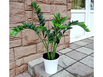Искусственное растение Замиокулькас 90 cm.
