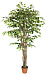 Искусственное дерево Фикус бенджамина FG015