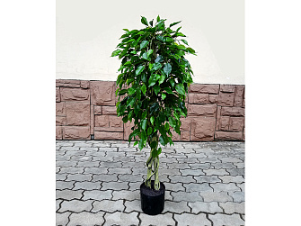 Искусственное растение Ficus Benjamin Natural 120