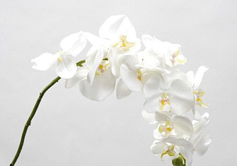 Искусственный цветок Орхидея 110см. FG-GT-A53 белая
