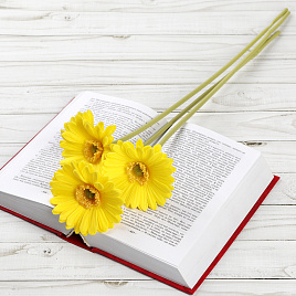 Искусственный цветок Гербера 43см. желтая