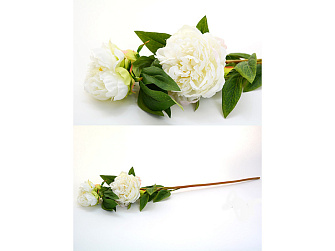 Искусственный цветок Пион 74см. кремовый
